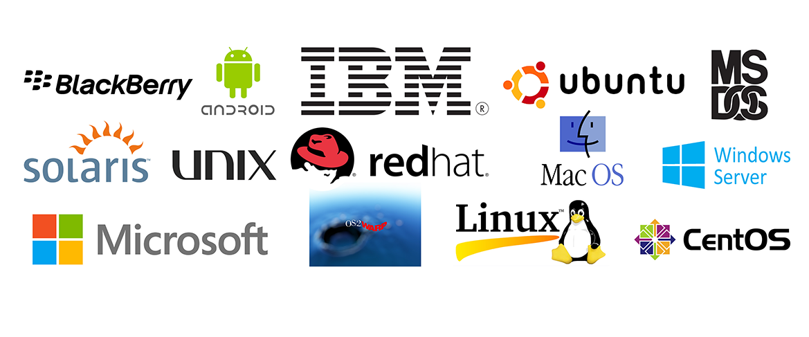 Java, Dot net